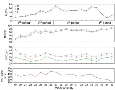 Growth responses to elevated environmental humidity vary between phenological forms of Picea abies